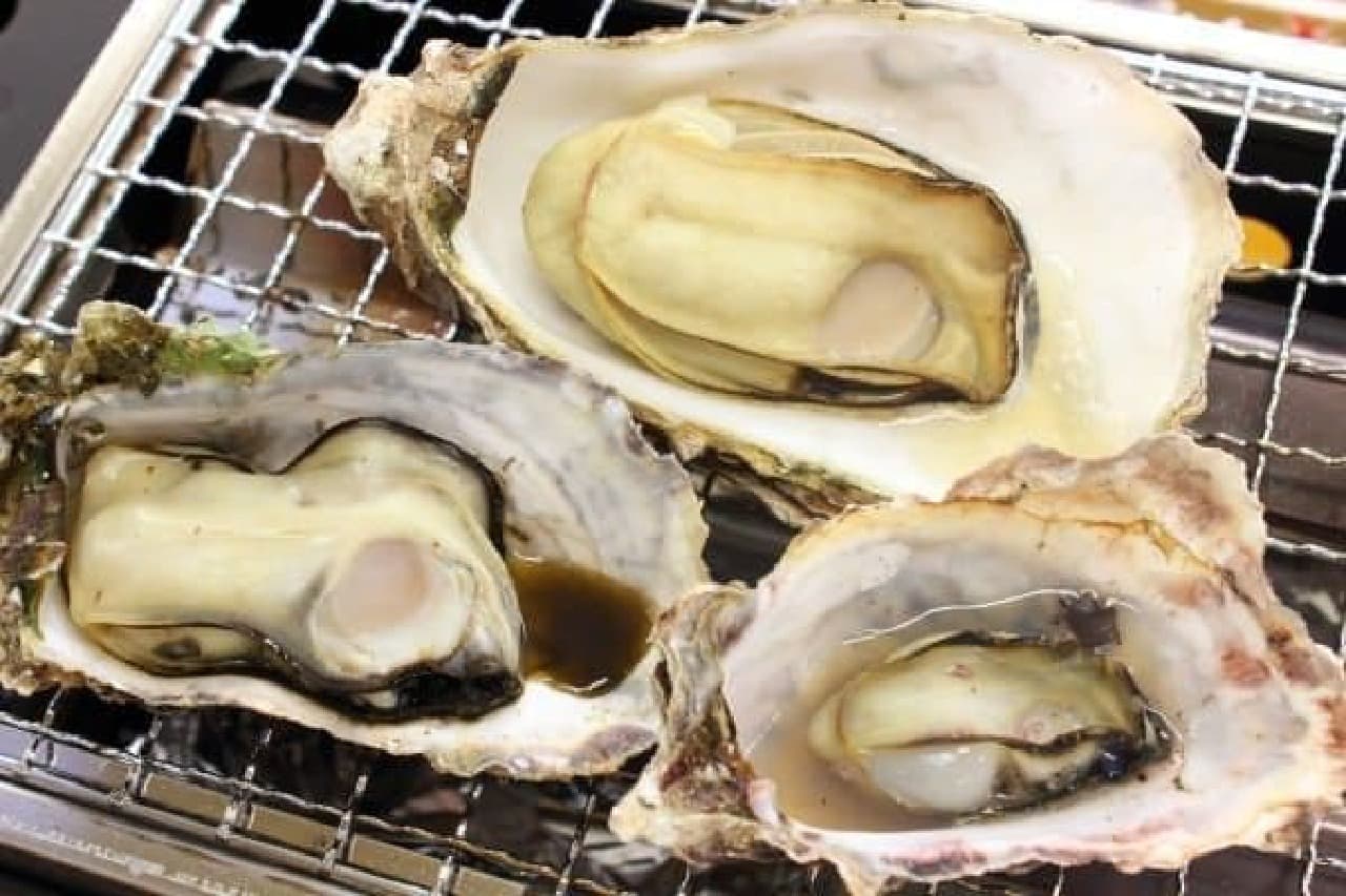 From the largest, special spring oysters, spring oysters, green oysters