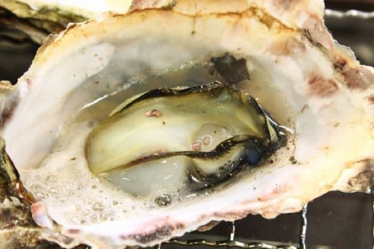 Green oyster. Compared to eating, the sweetness is strong