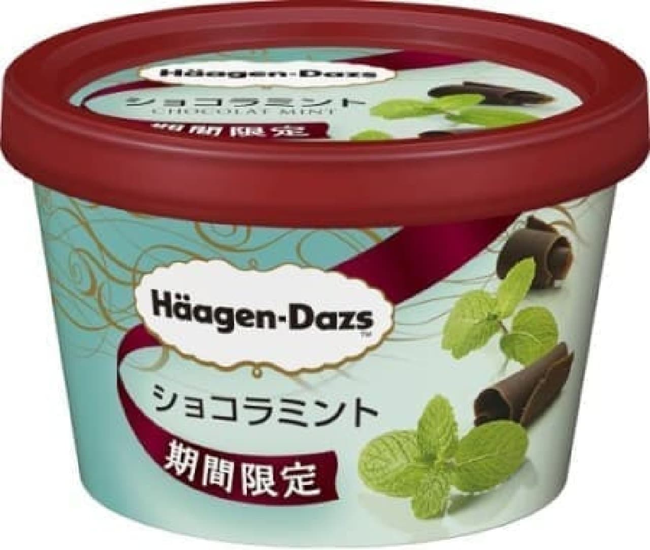 Refreshing taste of mint ice cream and chocolate chips