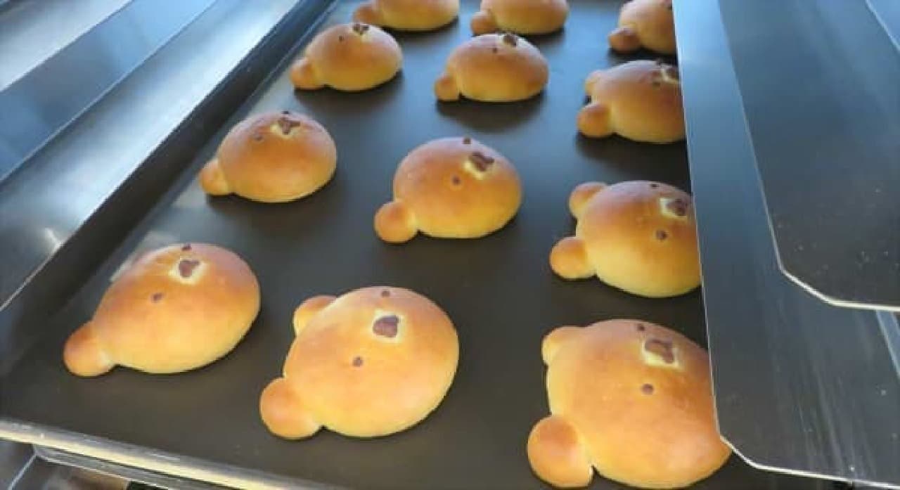 Bear bread with the same shape as the signboard is now available!