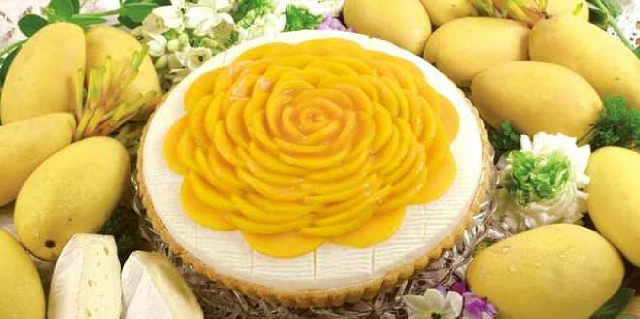 Mango and cheese mousse tart-Camembert flavor-