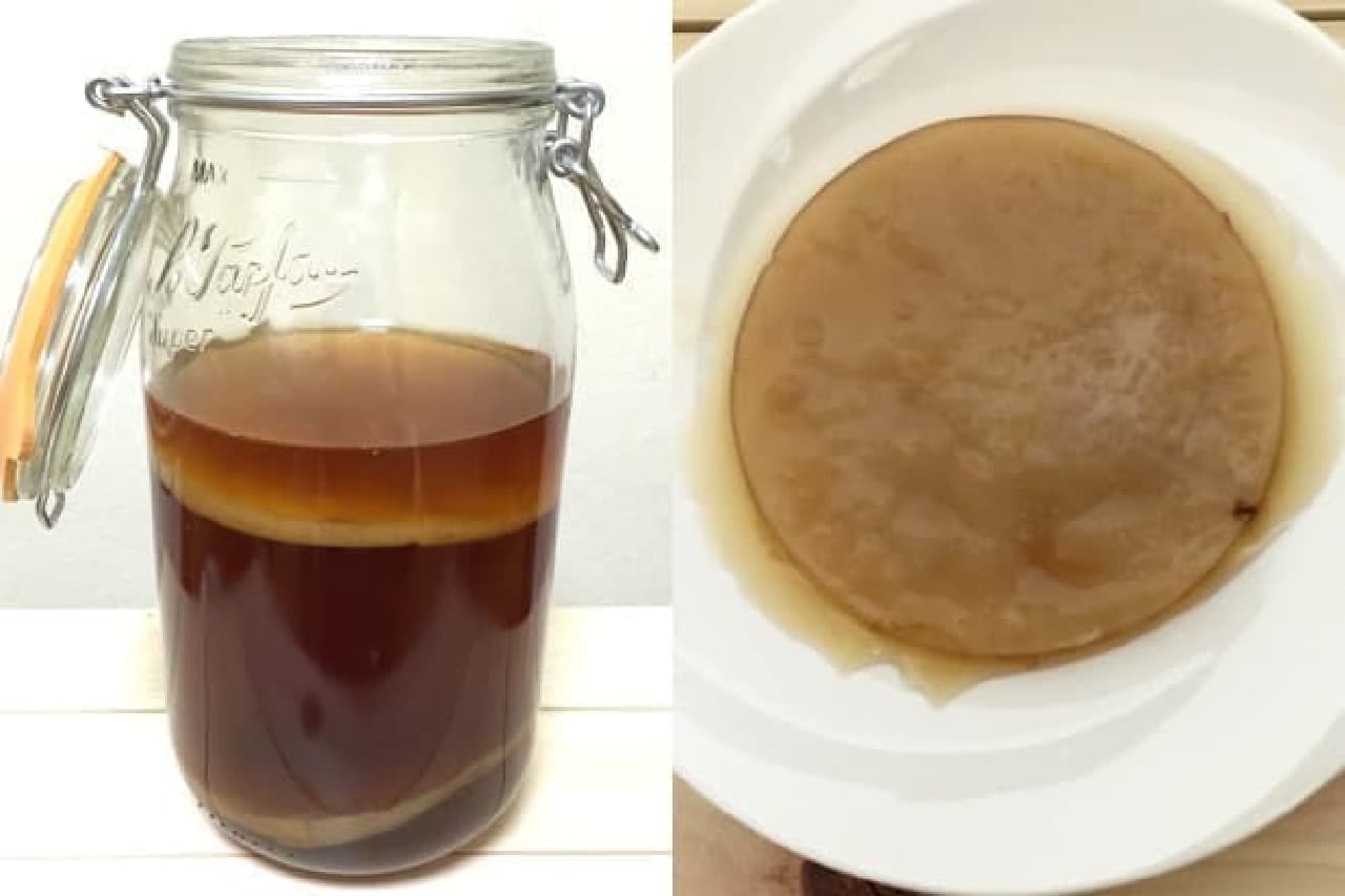 Do you remember "Kombucha"? The right is SCOBY alone