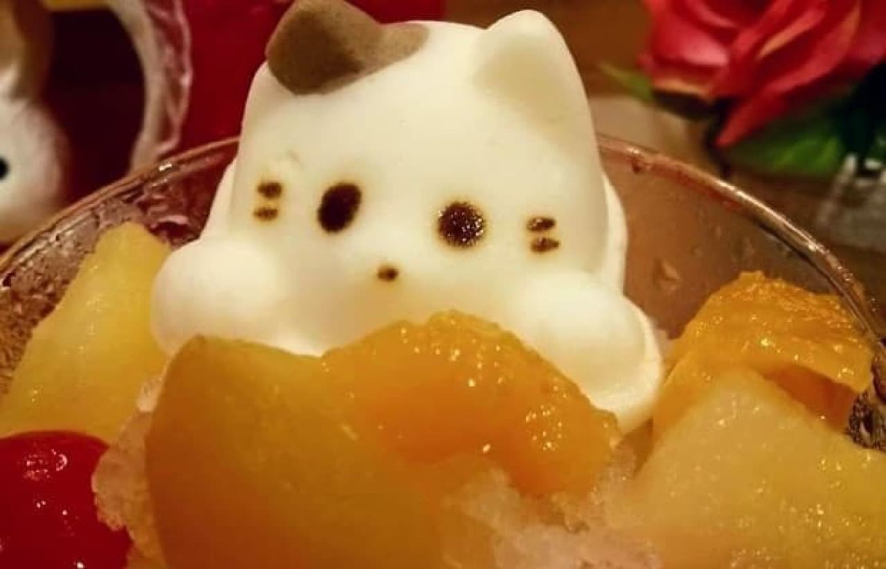 栃木の猫カフェcats Cafe 22番地に にゃんこのかき氷 が夏季限定で えん食べ