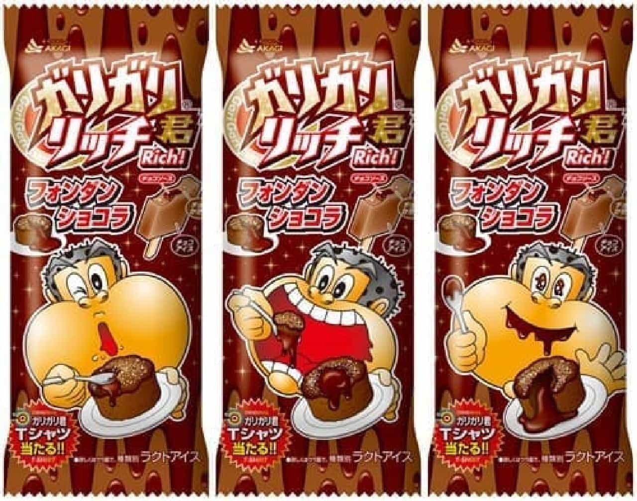 "Gari-Gari-kun Rich Fondant Chocolat"