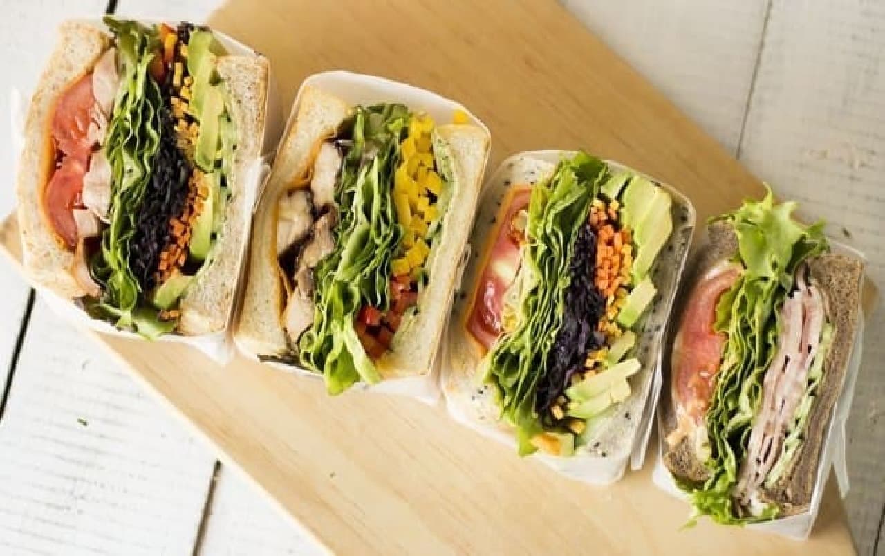 Craft gourmet sandwich image