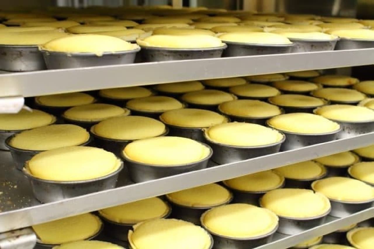 Hanabatatake Farm Tokachi Daiichi Factory, Lawson "Pure Cheese Tart" 