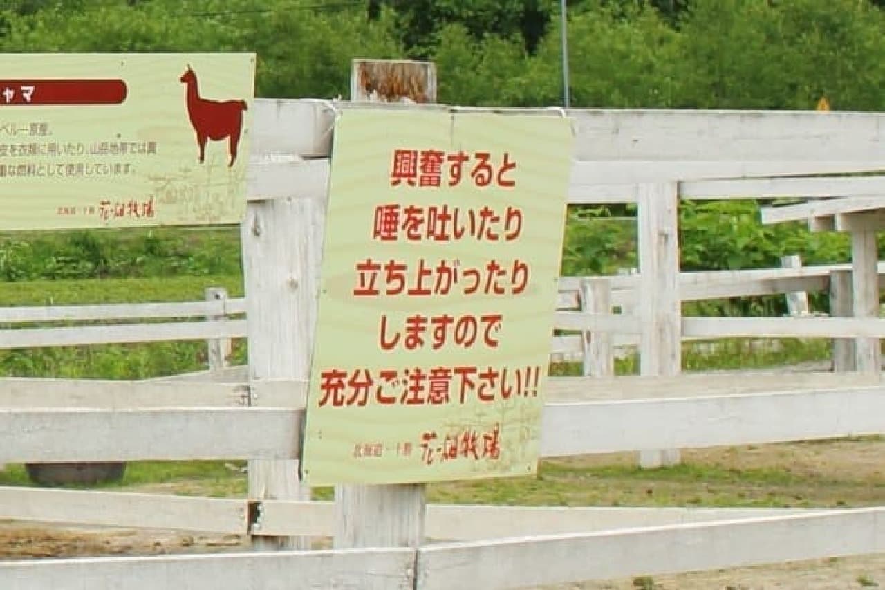 Llama's Note on Hanabatake Farm