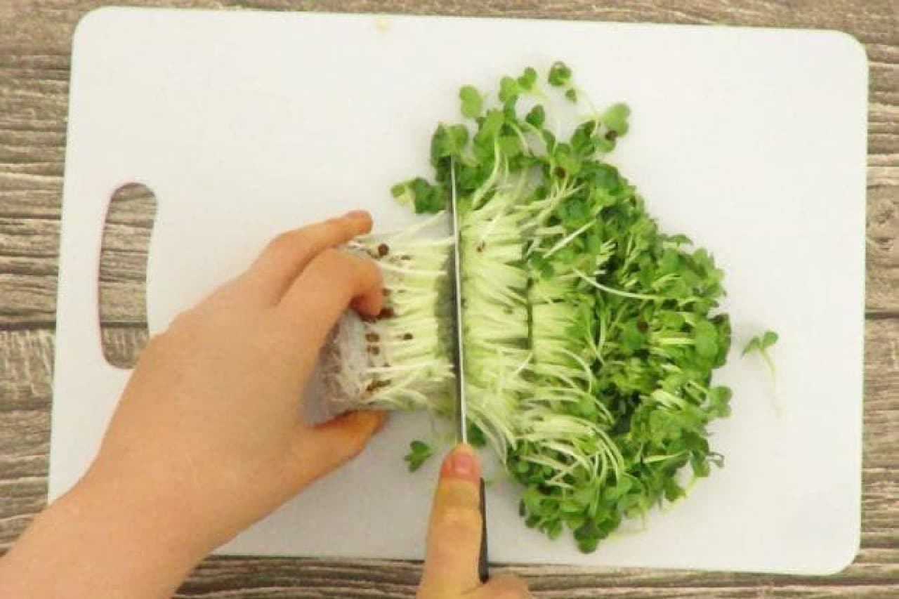 Sunday's laboratory "Fashionable side dishes of radish sprouts" The process of cutting radish sprouts