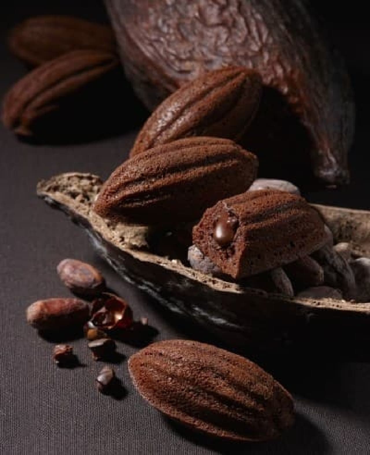 Terra Saison "Cacao Cake of the Earth"