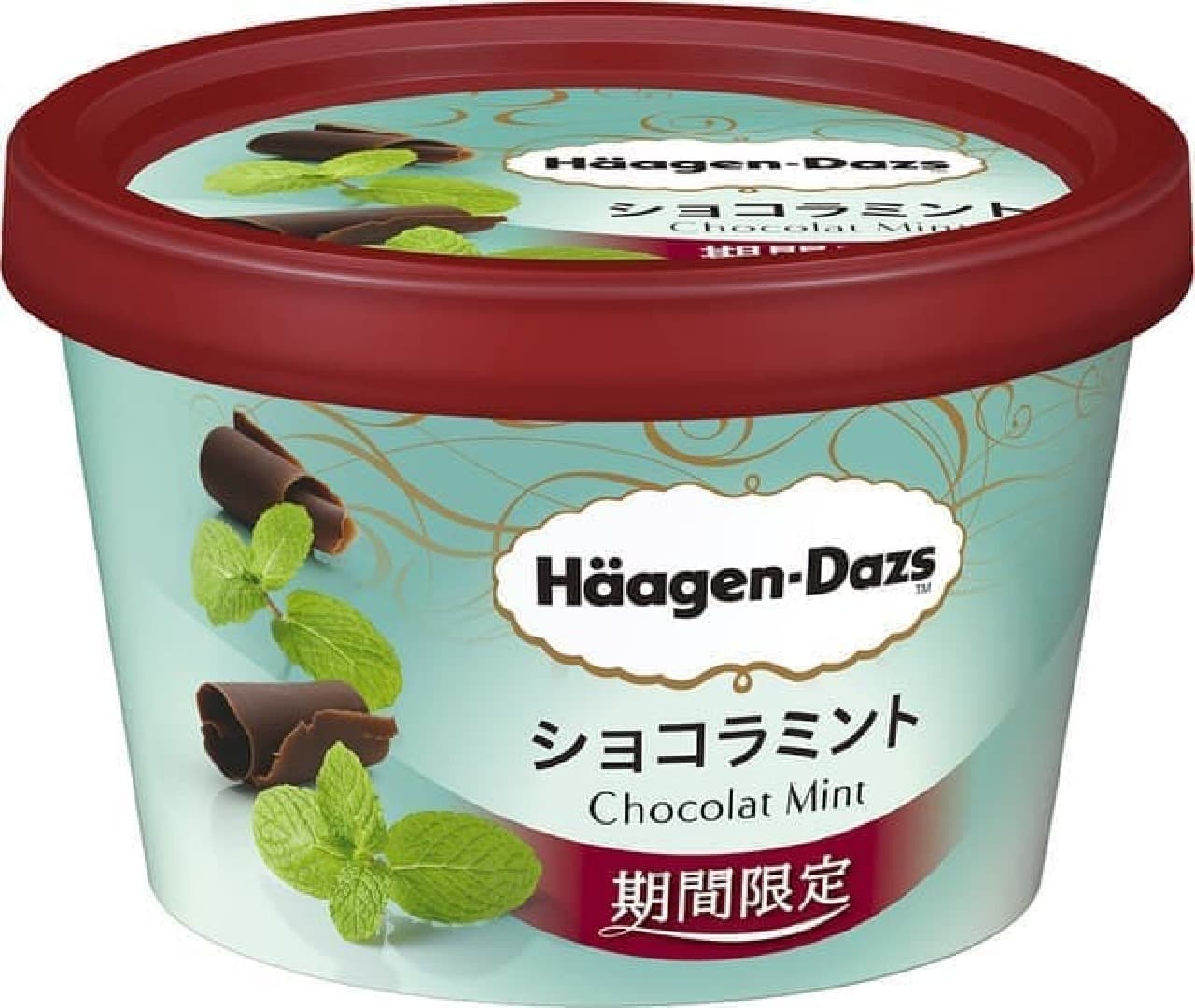 Haagen-Dazs Chocolat Mint