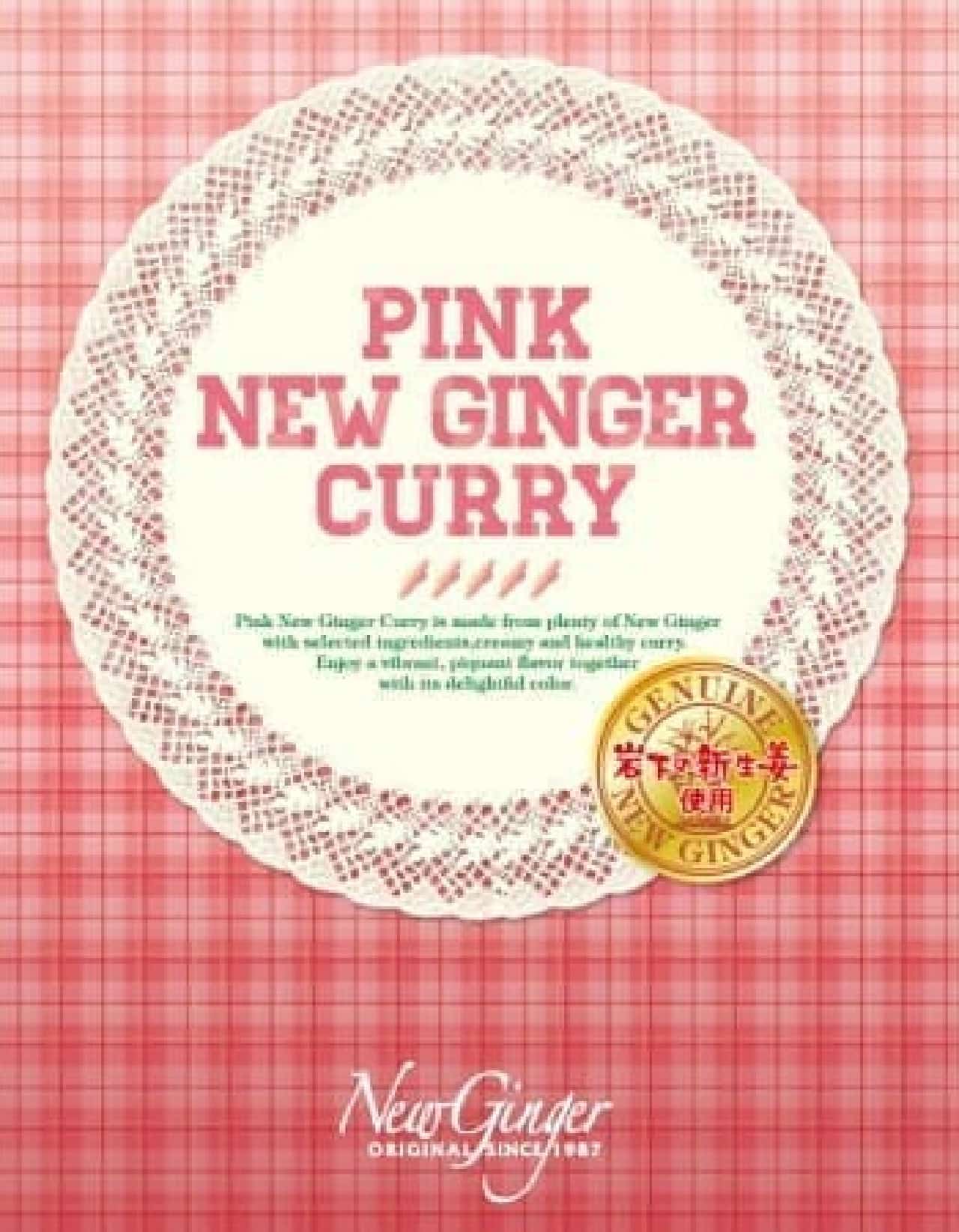 Iwashita Foods "Pink New Ginger Curry"