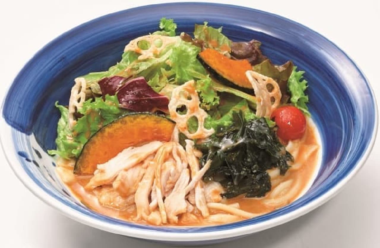 Mizuyama "Steamed chicken salad udon"