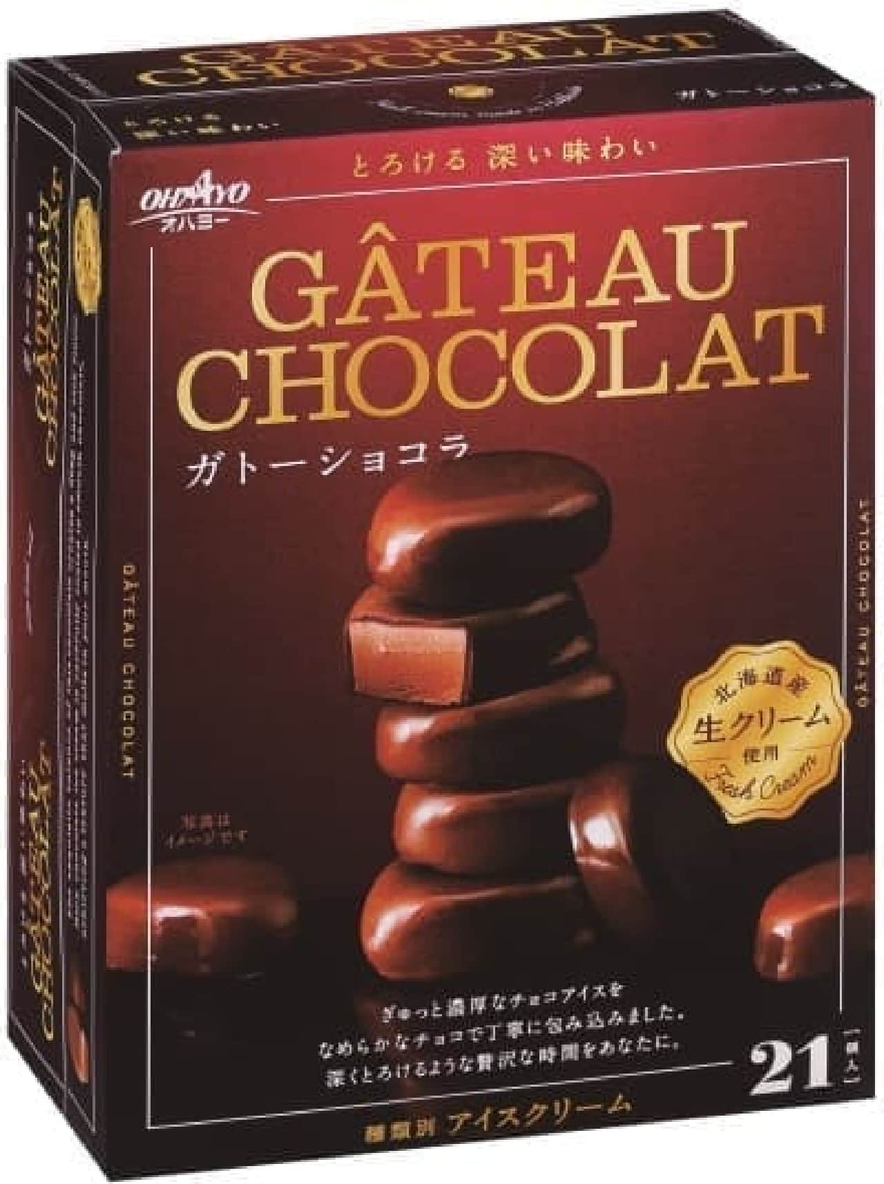 オハヨー乳業「GATEAU CHOCOLAT（ガトーショコラ）」