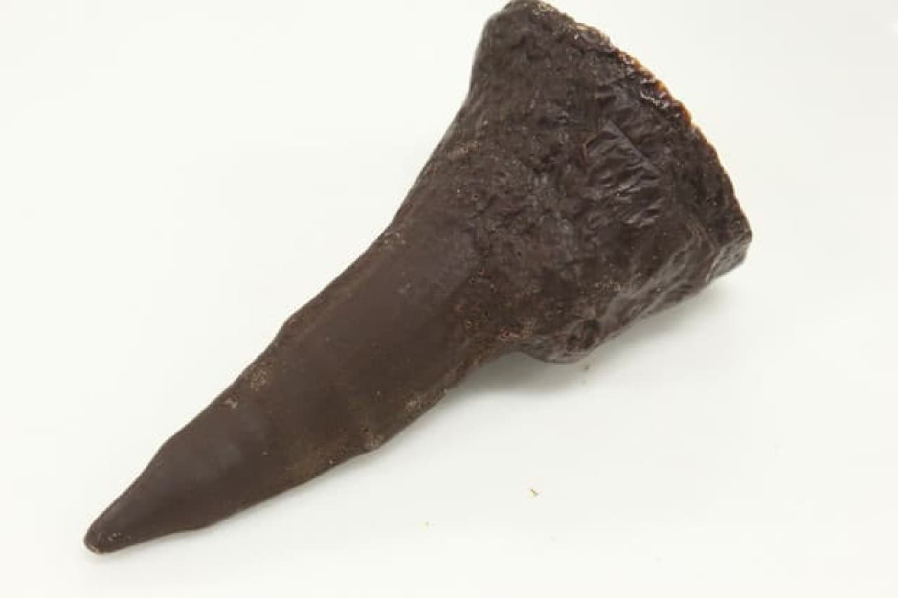 国立科学博物館化石チョコレート