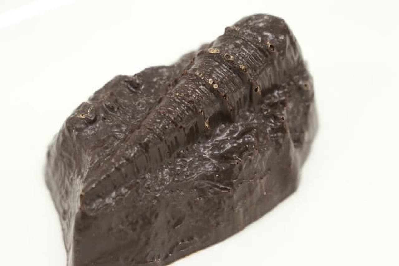 国立科学博物館化石チョコレート