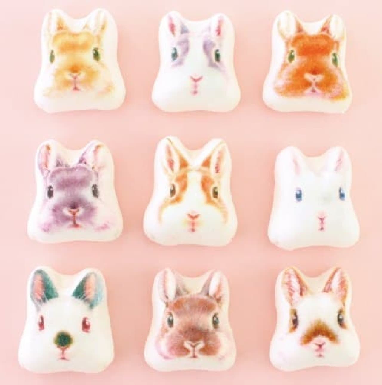 Felissimo "Cuteness that can't be eaten Mini Japanese style marshmallow rabbit hozui [chocolate bean paste]"