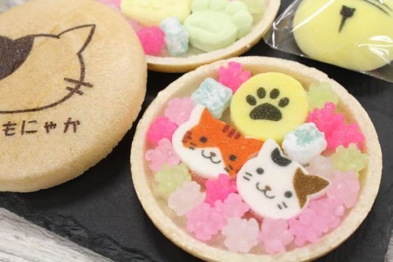 「ねこもにゃか」は、猫モチーフのお菓子が詰められたセット