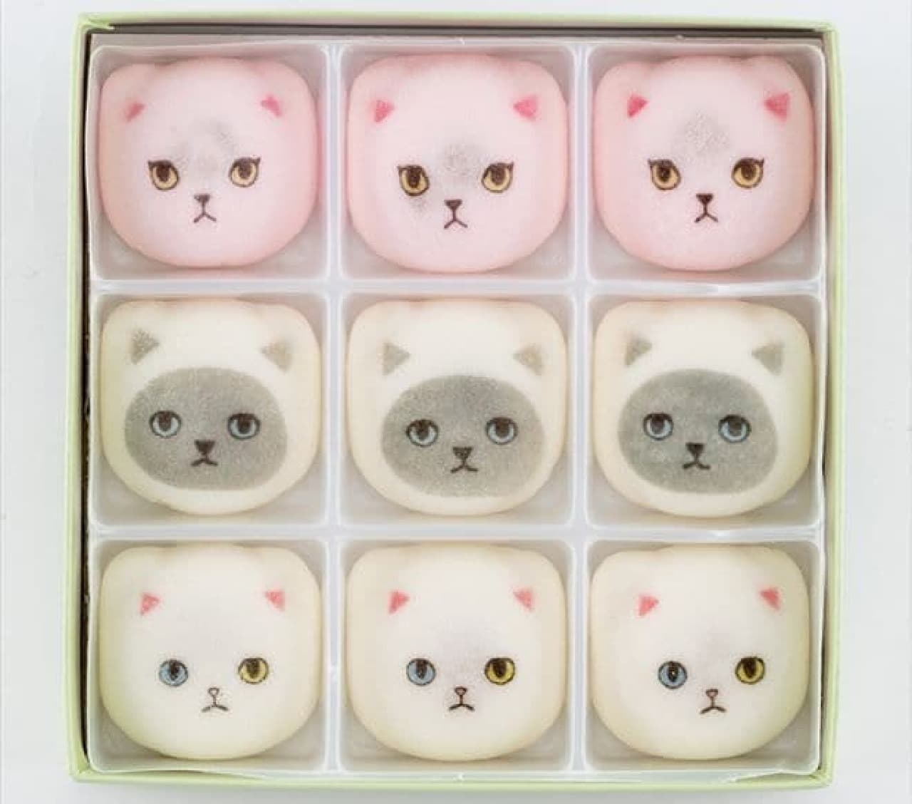 "[Cat Confectionery] Hozui" is Hozui with a cute cat's face printed on it.