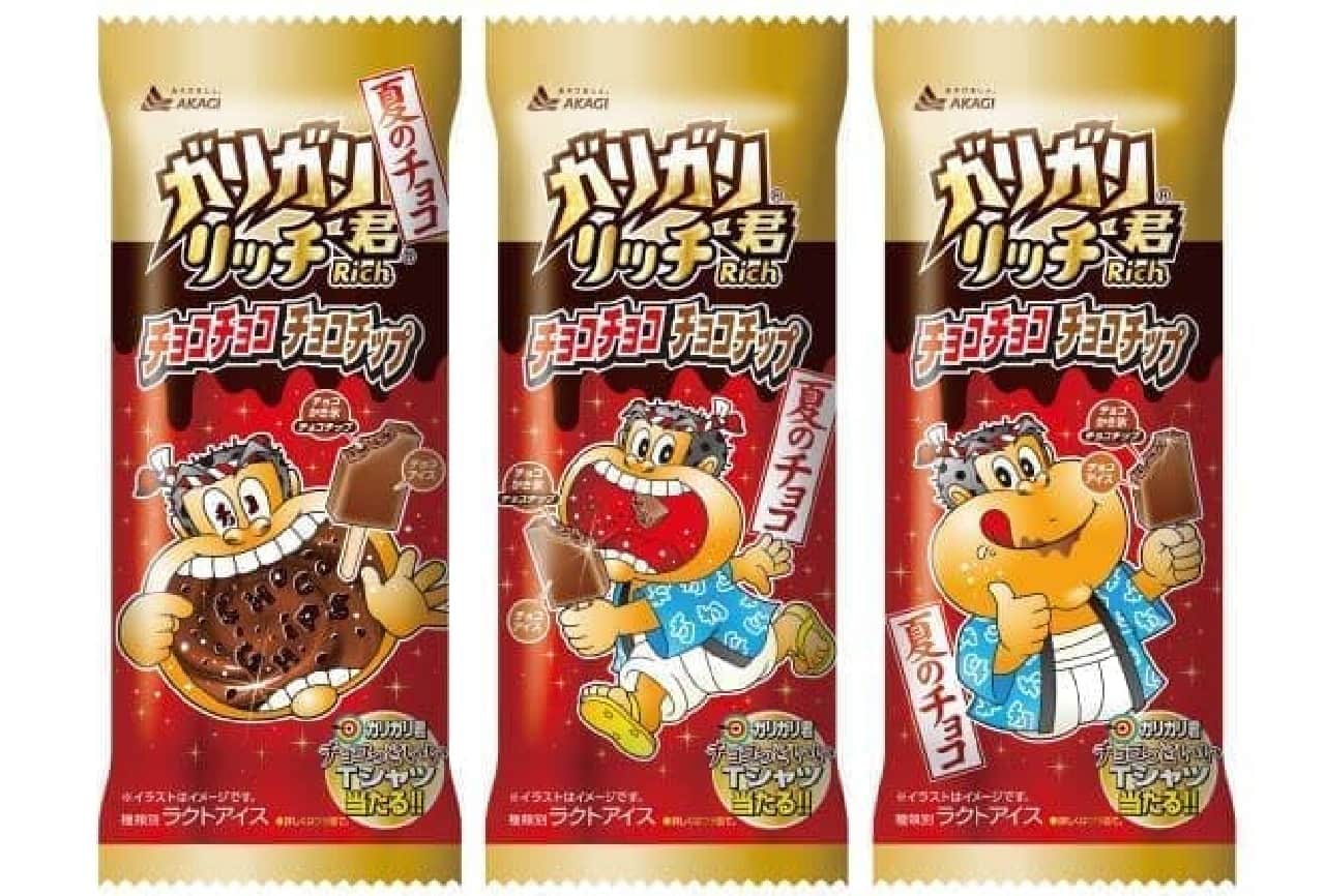 Akagi Nyugyo "Gari-Gari-kun Rich Chocolate Chocolate Chip"