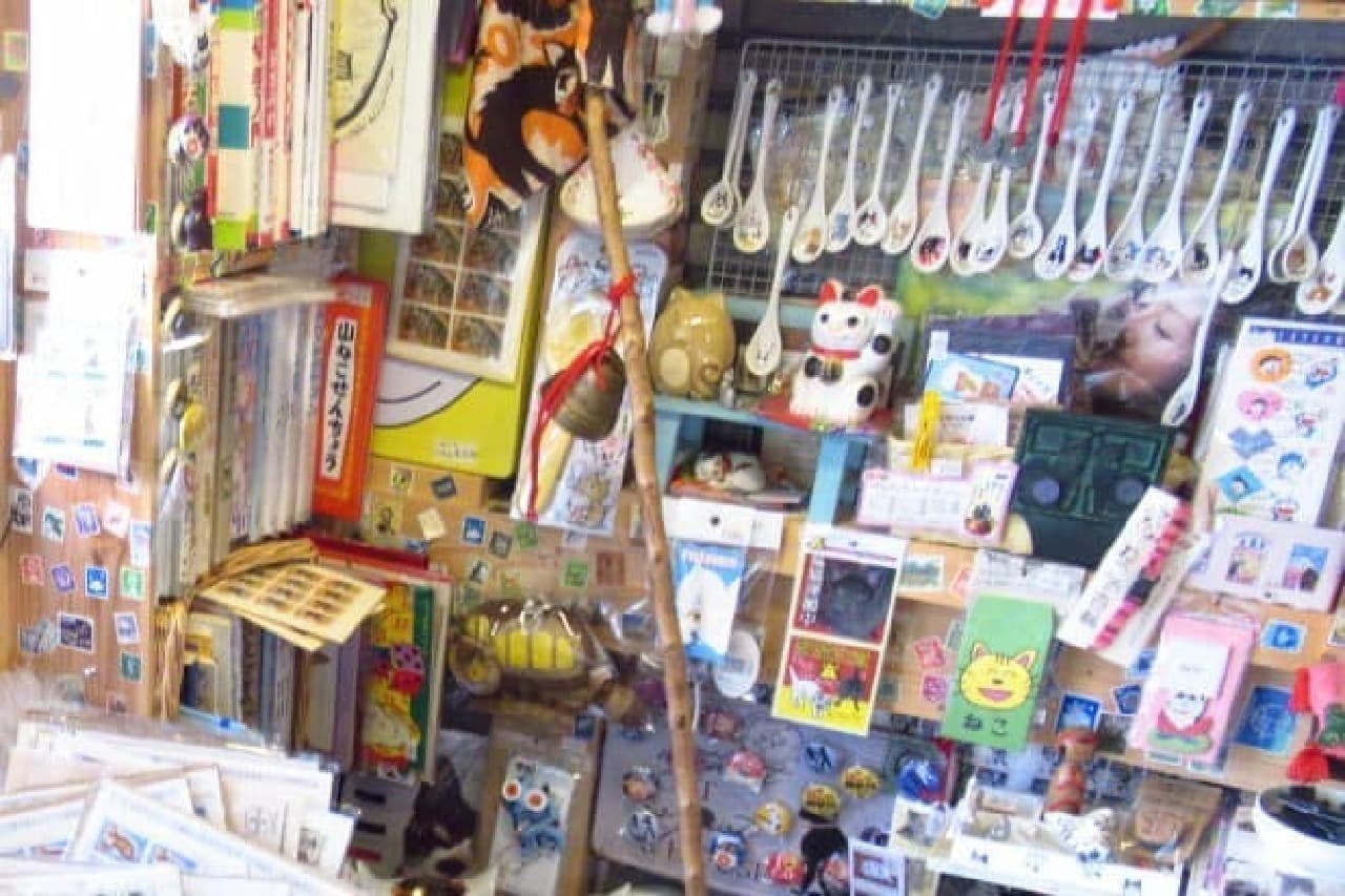 Various cat goods in the store