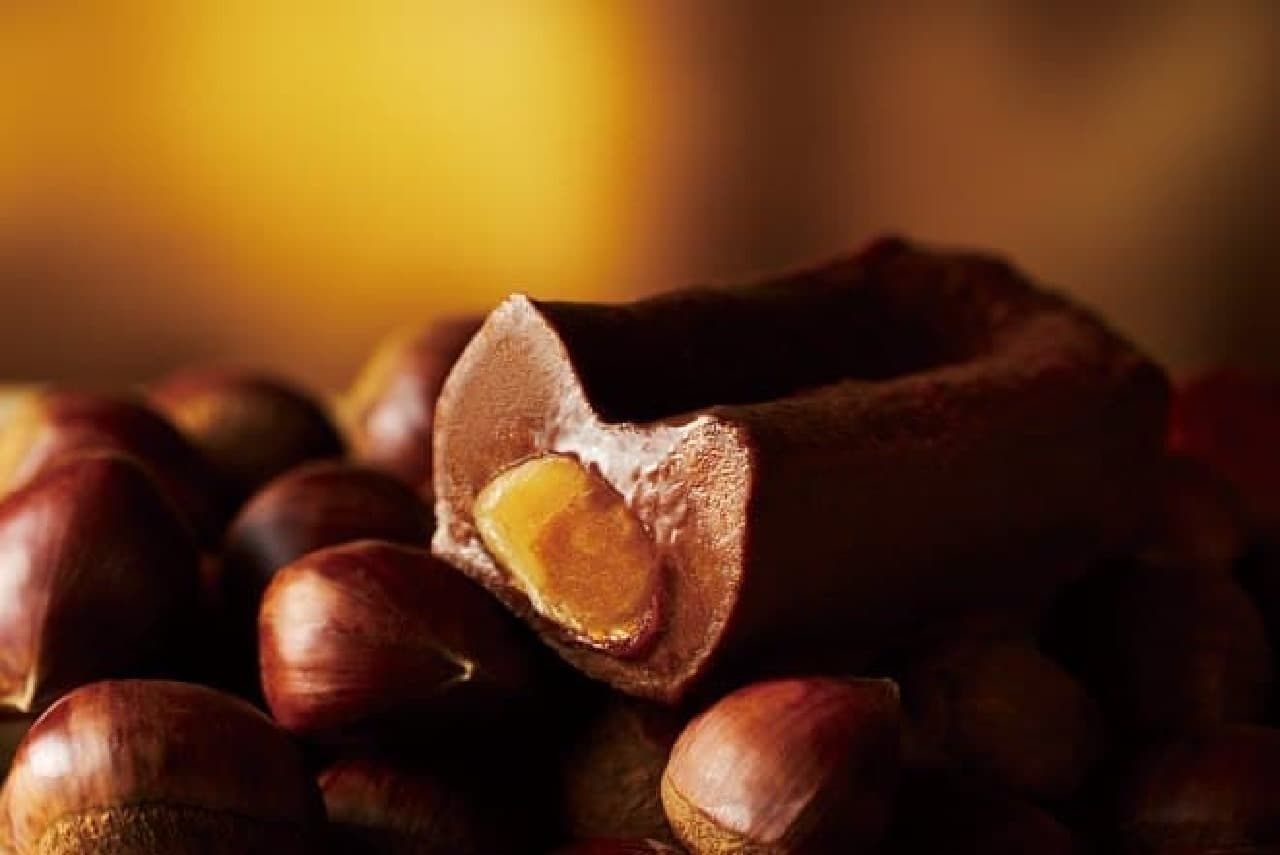 Adult gateau chocolate specialty store Majori