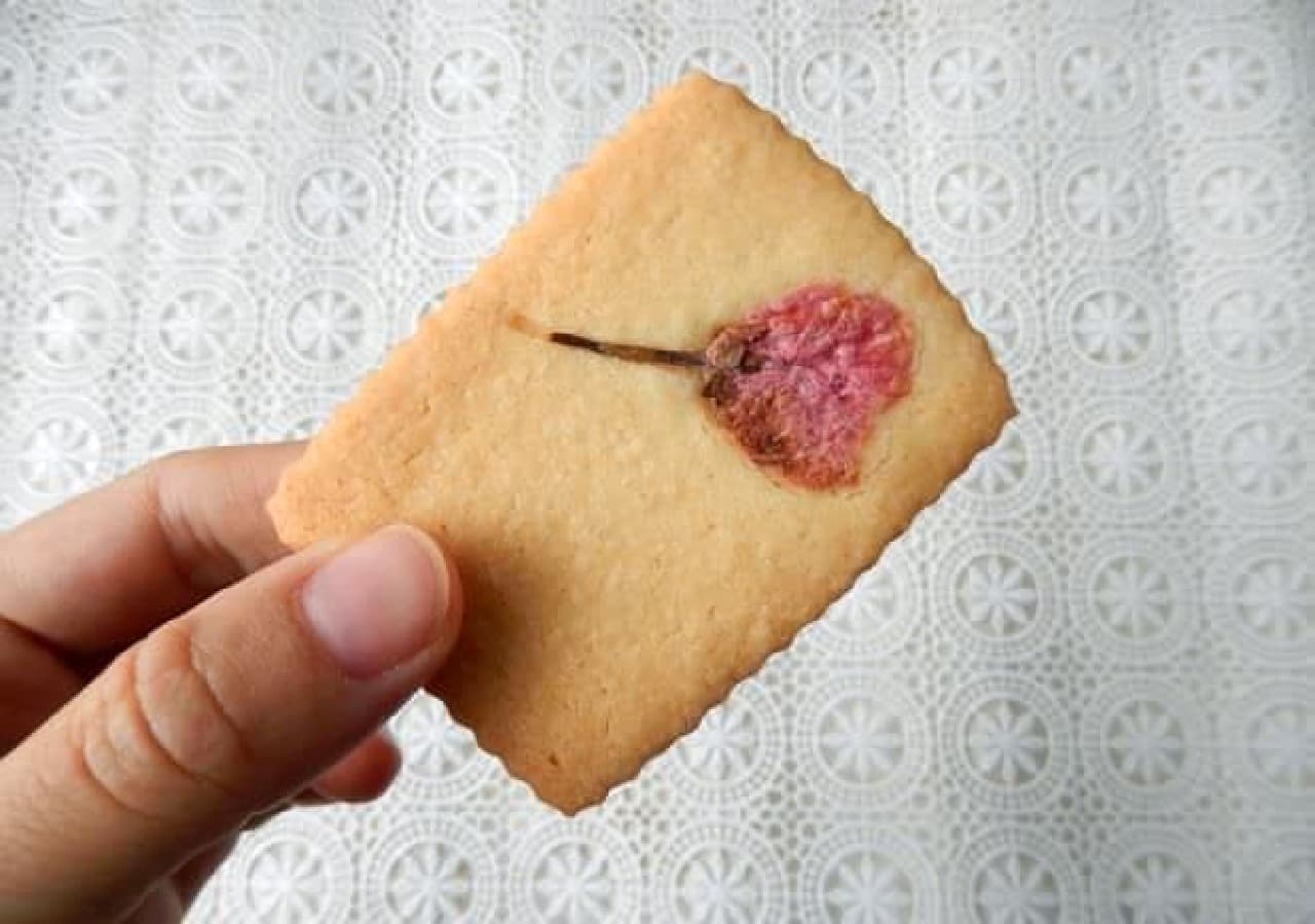 Eat and compare KALDI and MUJI "Sakura Cream Sandwich"