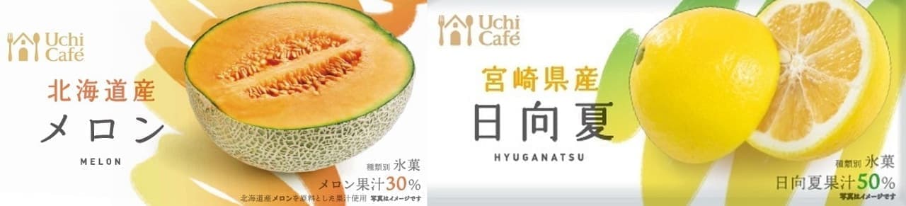 Uchi Cafe Japanese Fruits Hokkaido Melon and Miyazaki Prefecture Hyuganatsu