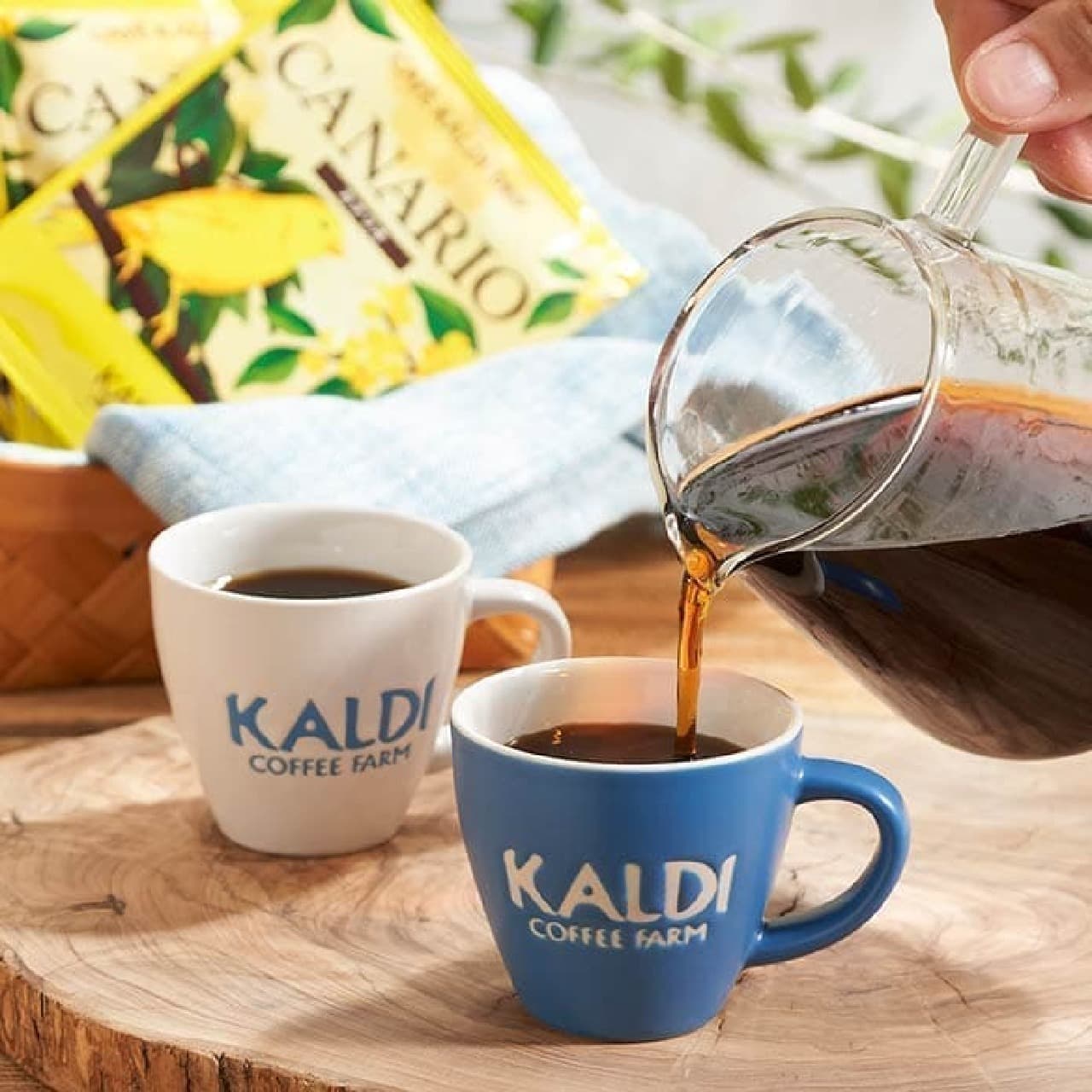 KALDI "Drip Coffee & Mini Cup Set"
