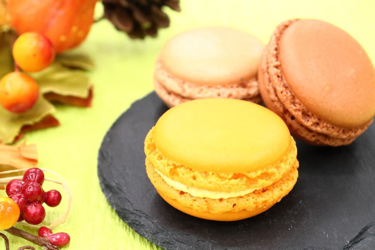 Marron & Pumpkin Macaron Appears in "Dalloyau"-For a limited time, it has a slightly elegant sweetness