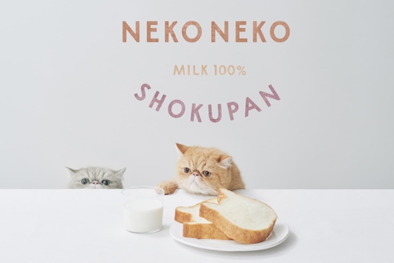 Cat-shaped bread specialty store "Neko Neko Bread"