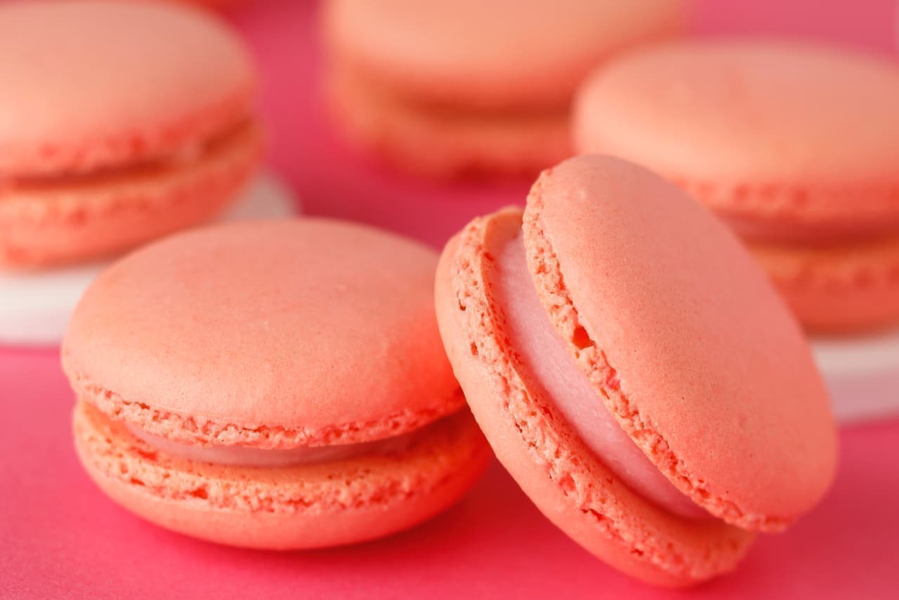 "Macaron Phrase" and "Biscuit Troyes" for White Day at Shiseido Parlor