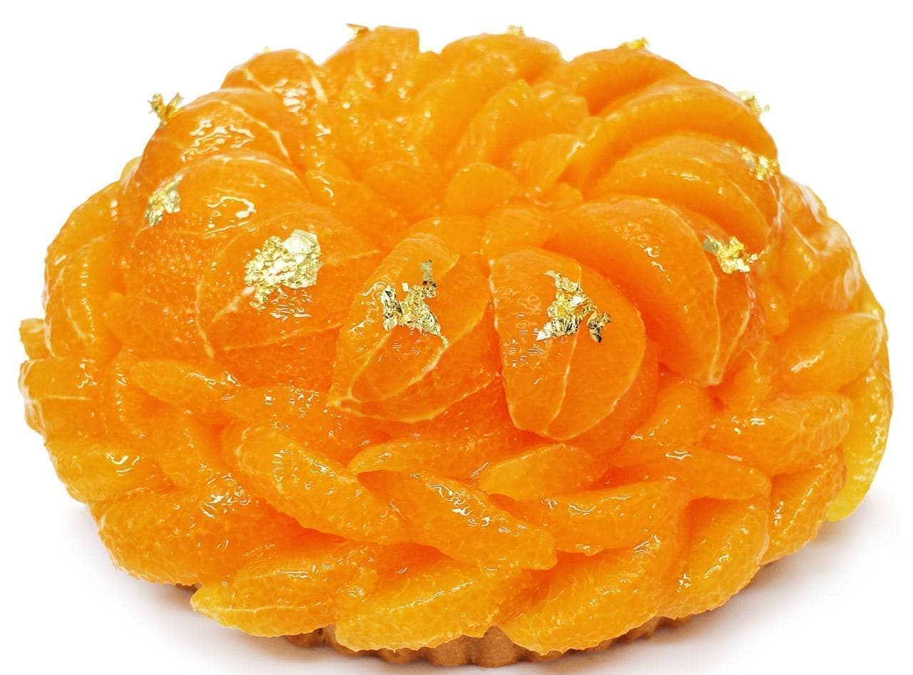 Chateraise "Cake of" Kiyomi Orange "from Nishitani Farm, Uwajima, Ehime Prefecture"