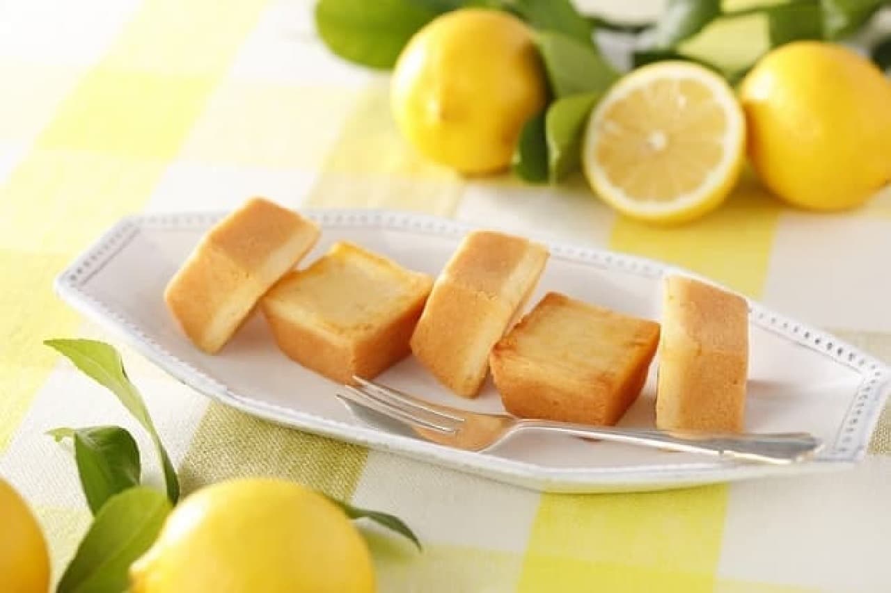 資生堂パーラー「夏のチーズケーキ（レモン）」