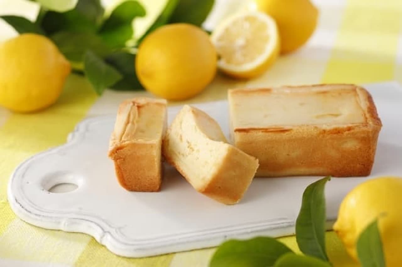 Shiseido Parlor "Summer Hand-baked Cheesecake (Lemon)"