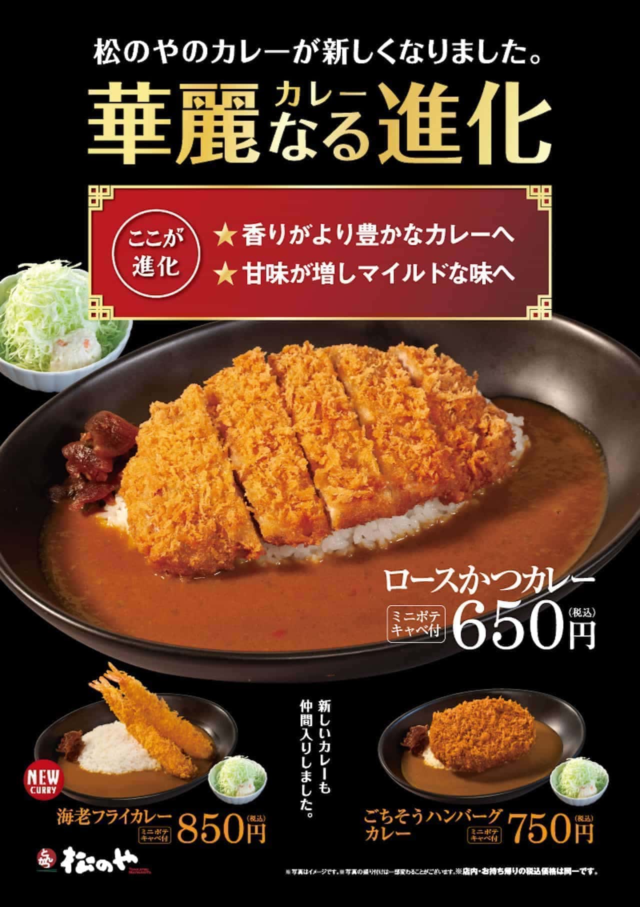 Matsunoya "New Curry"