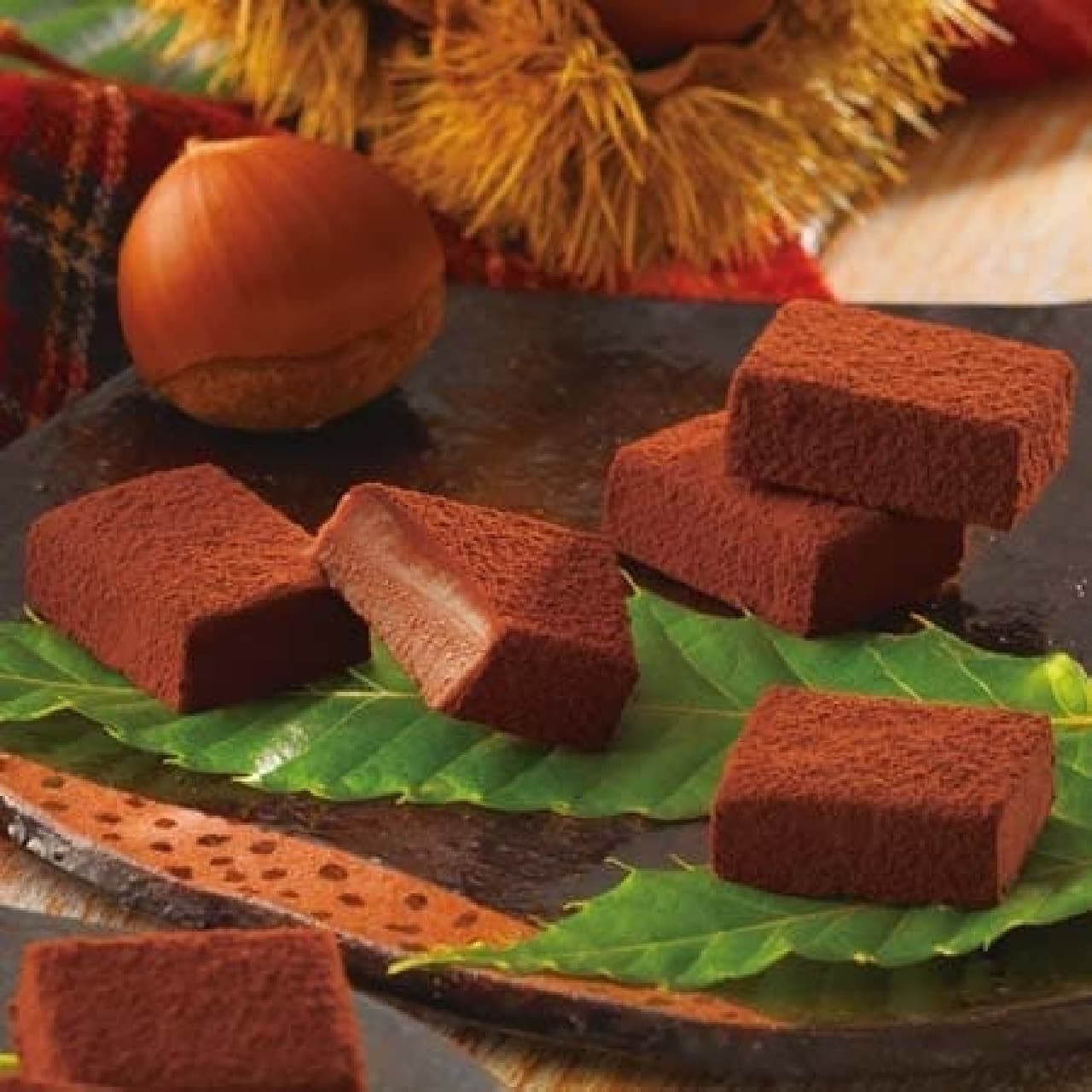 Lloyds "Raw chocolate [chestnut]"
