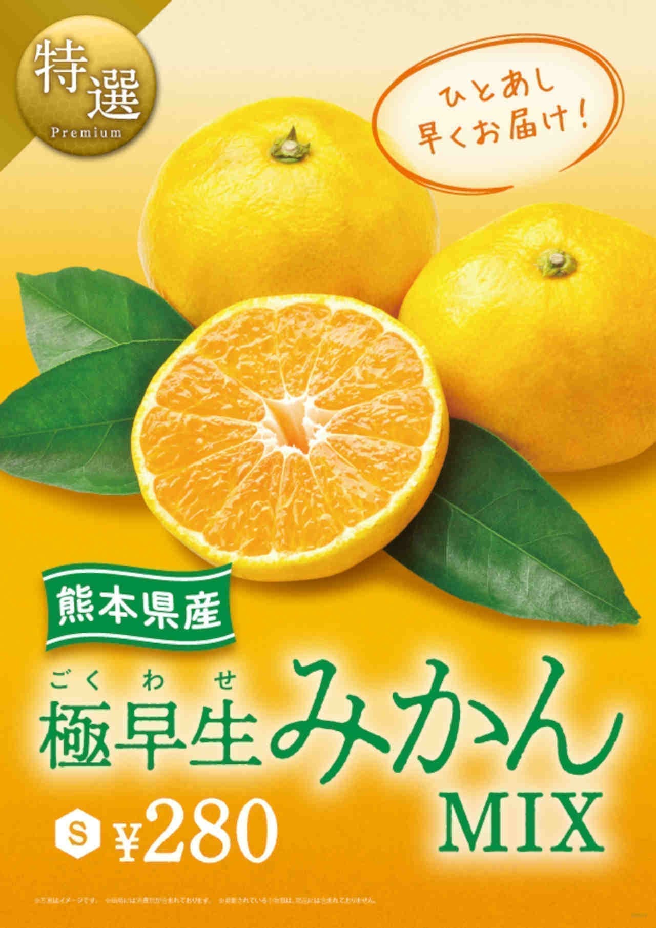 HONEY'S Bar is now offering "Specially Selected Pioneer Yogurt from Okayama Prefecture" and "Specially Selected Ultra-Hearty Mikan Mix from Kumamoto Prefecture"!