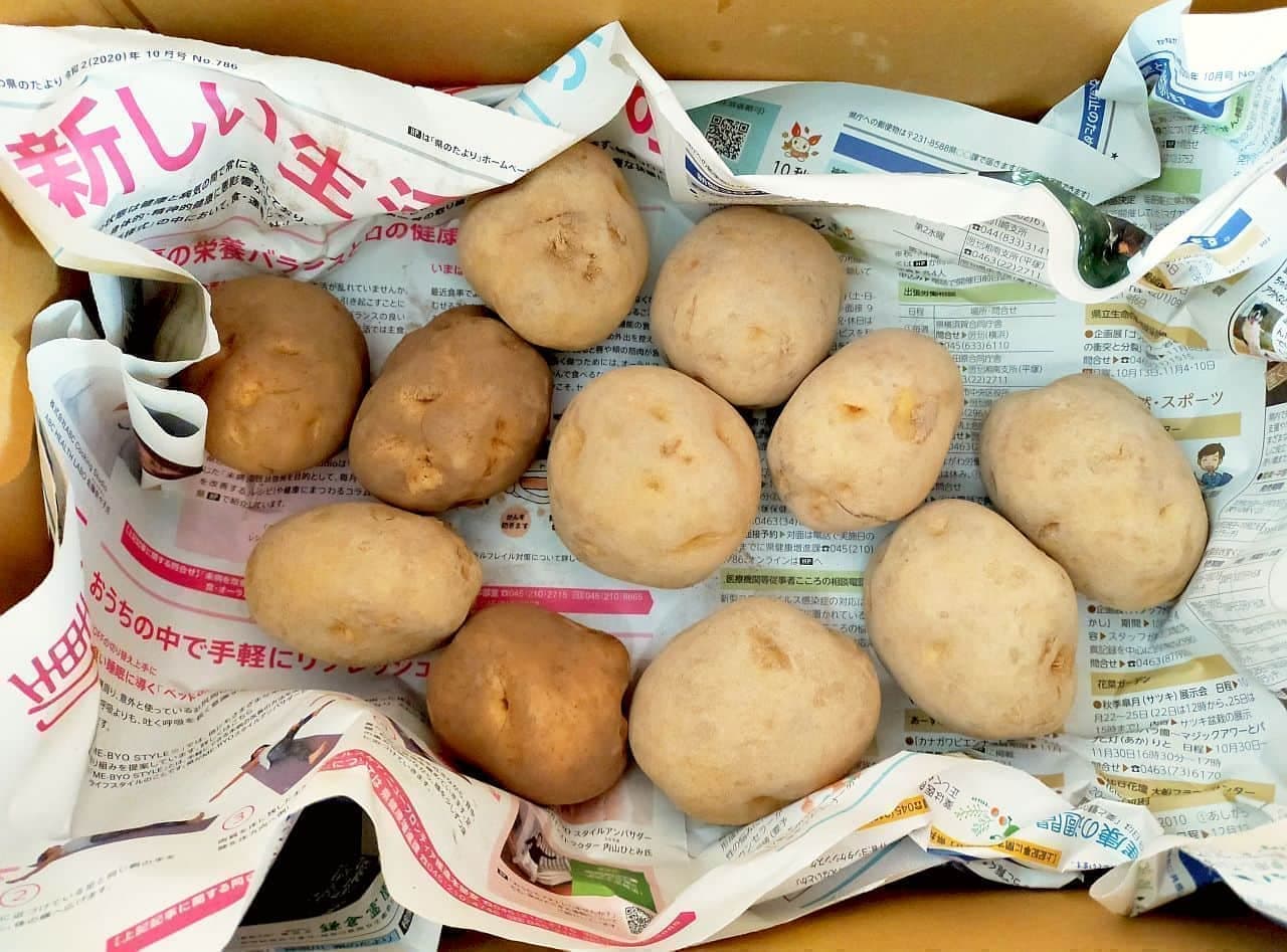 Step 1: How to store potatoes