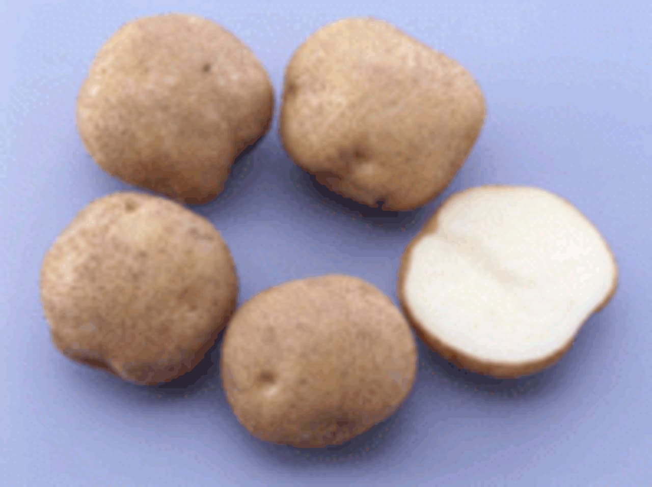"The Potato Flower Algae Salt Flavor" "The Potato Onion Pepper Flavor" using Calbee domestic potatoes