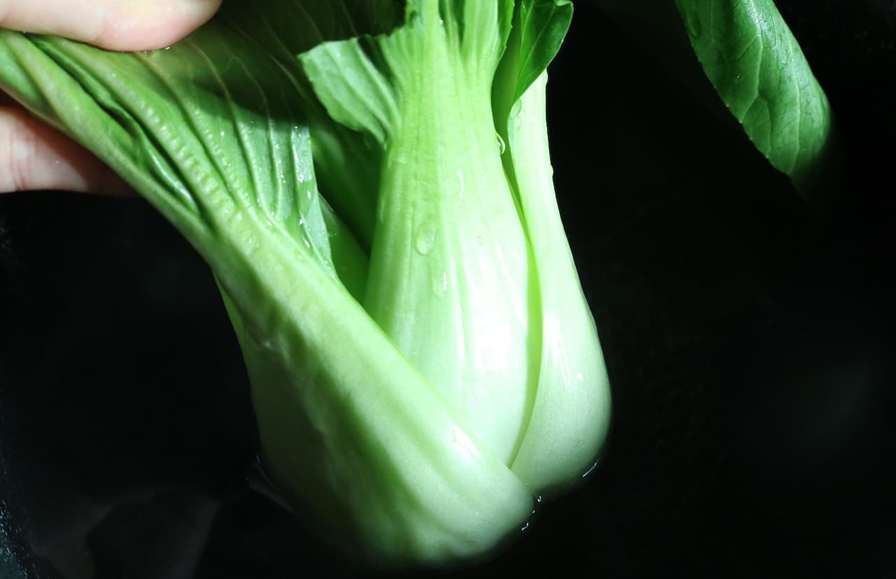 Step 3 Put the root part of the bok choy into the hot water and boil for 20 seconds.