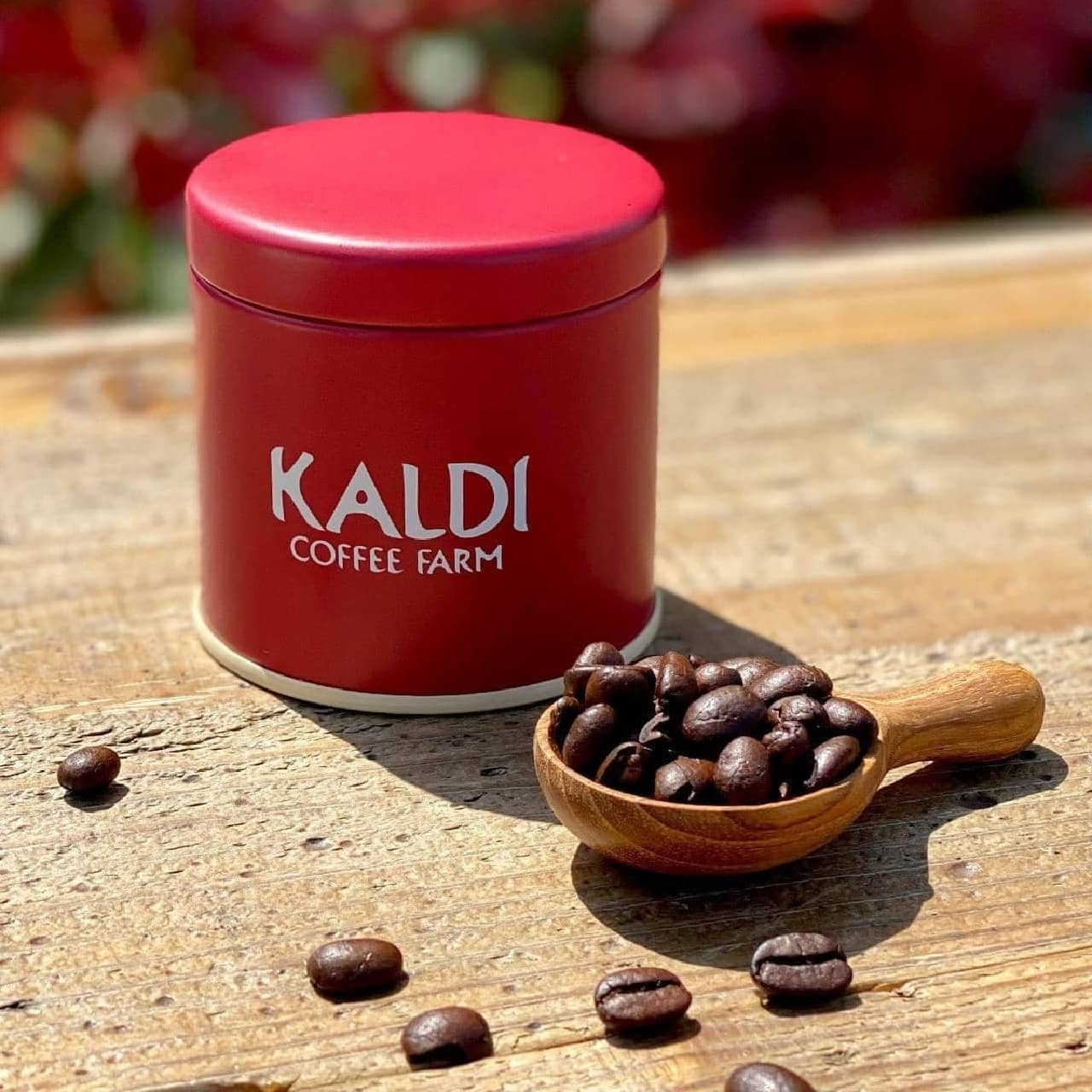 KALDI "Mini Canister Can" Present with coffee purchase