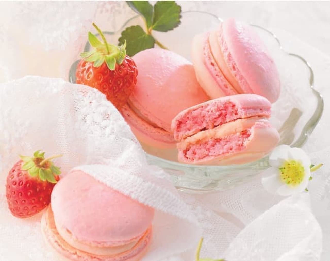 Lloyds "Strawberry & Fromage Macaron [6 Pieces]"