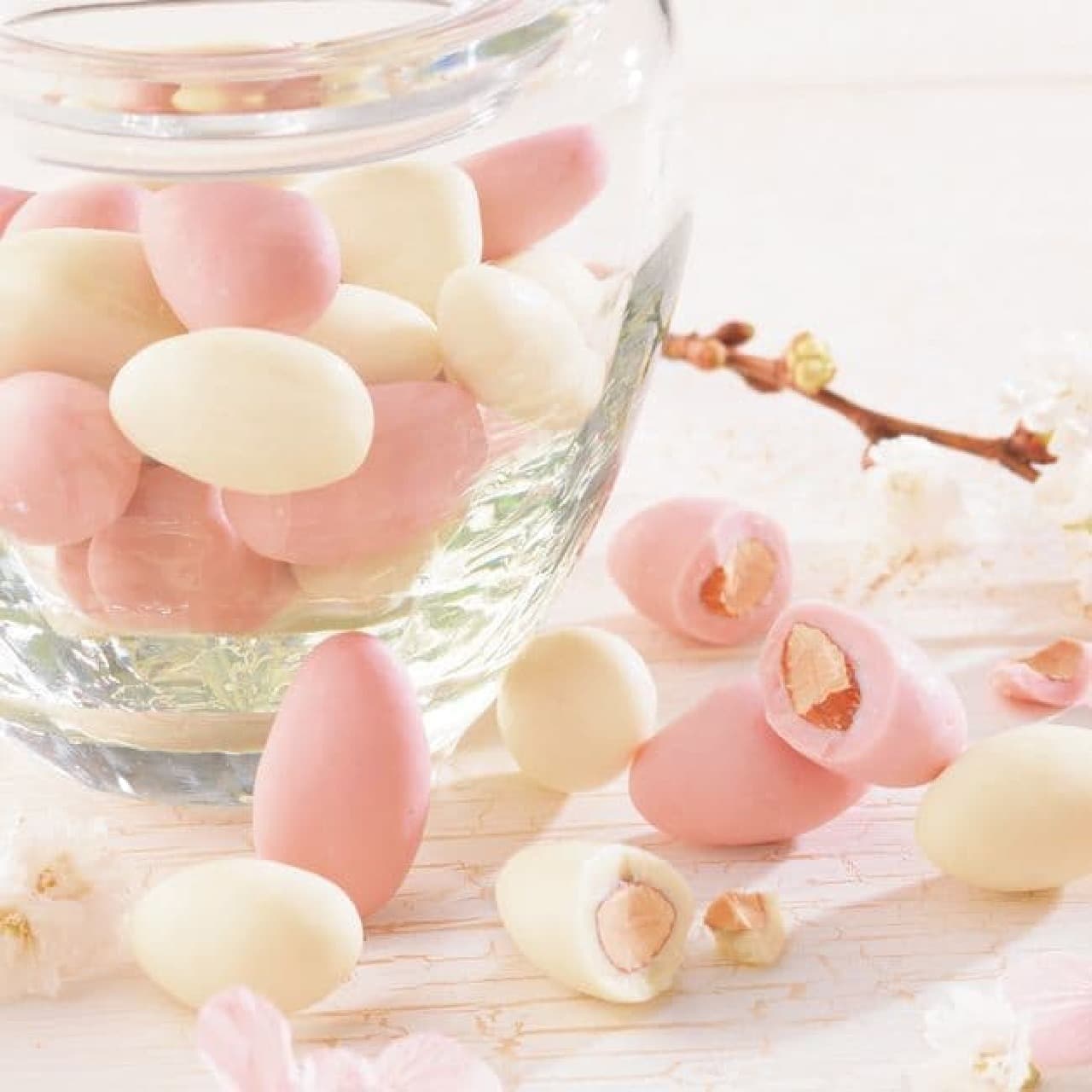 Lloyds "Almond Chocolate [Sakura Berry & Sakura White]"