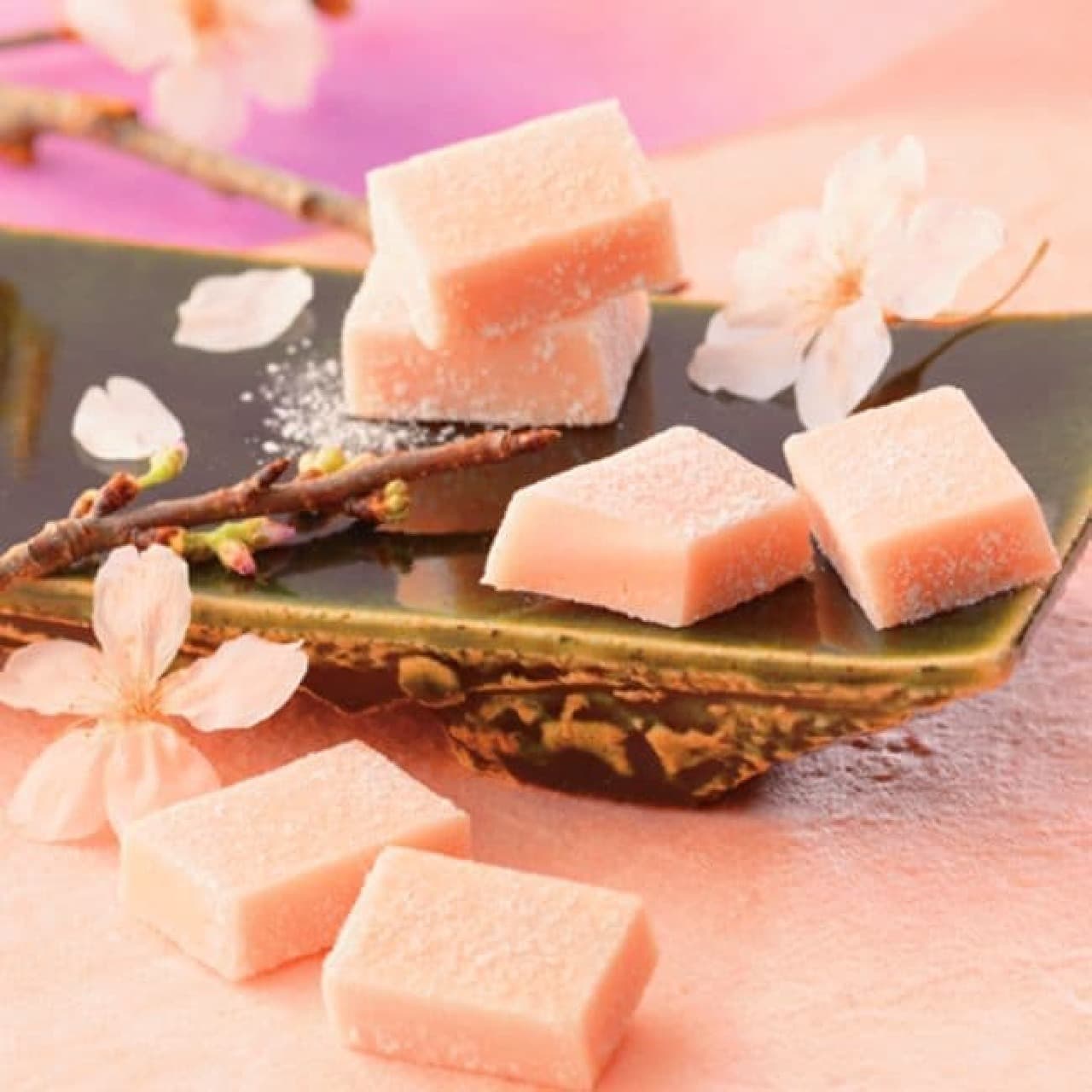 Lloyds "Raw Chocolate [Sakura Fromage]"