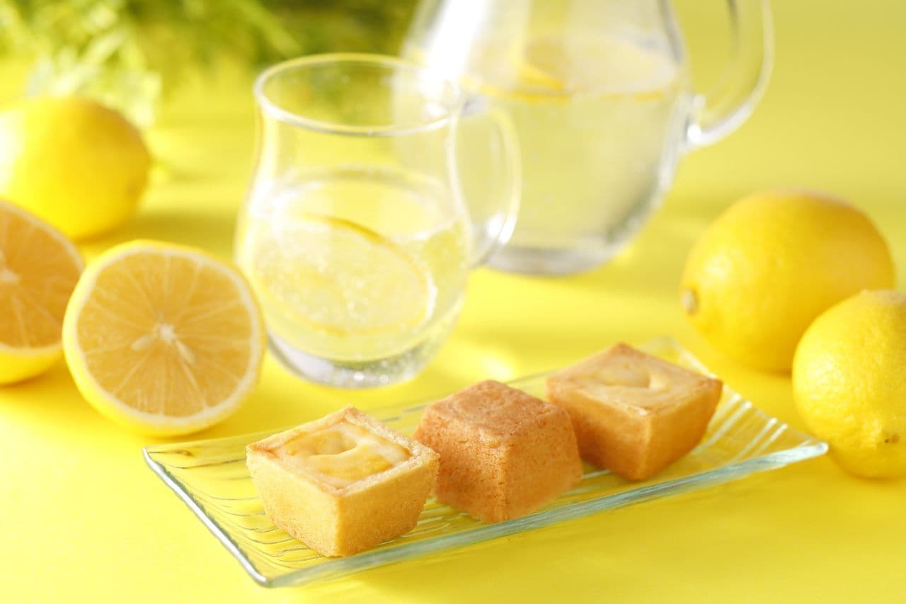 Shiseido Parlor "Summer Cheesecake (Lemon)"