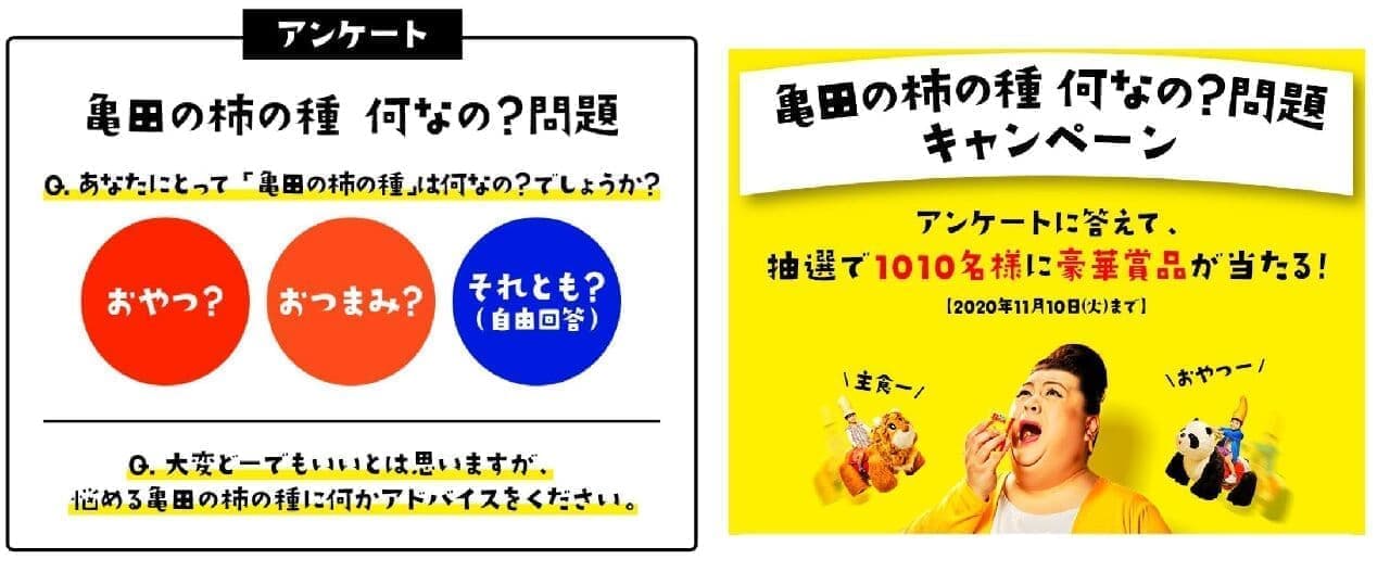 "What is Kameda's Kaki no Tane? Problem" Campaign