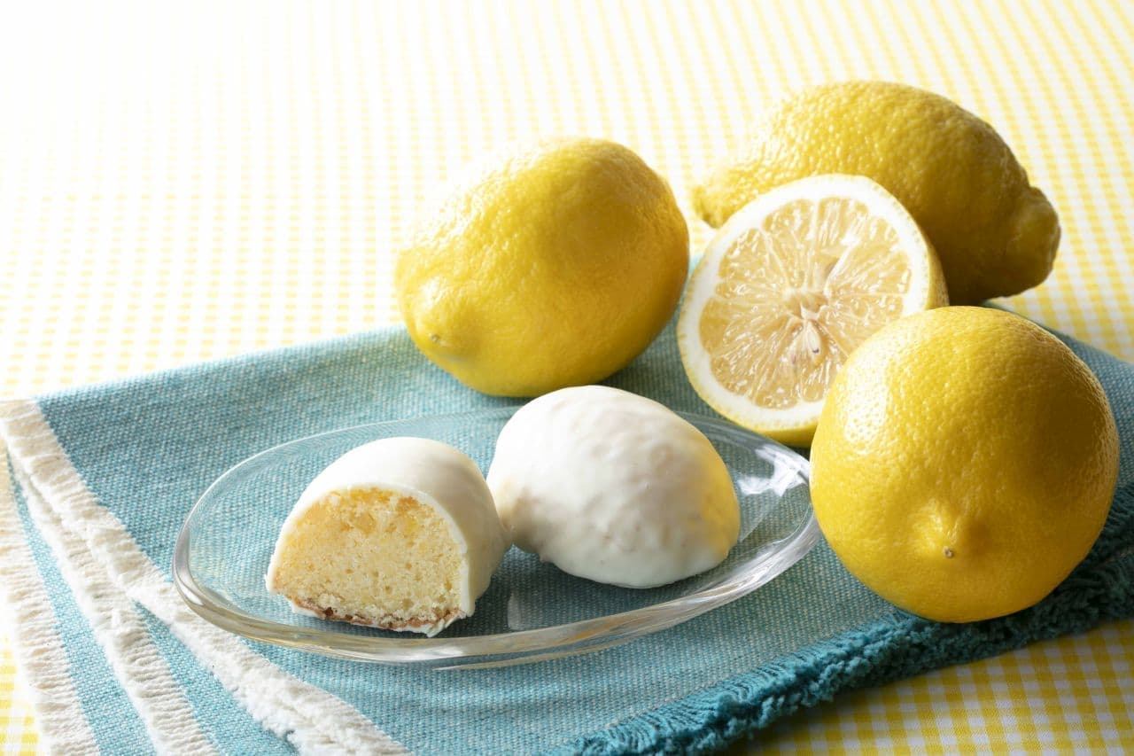 Chateraise "Setouchi Lemon Fair"