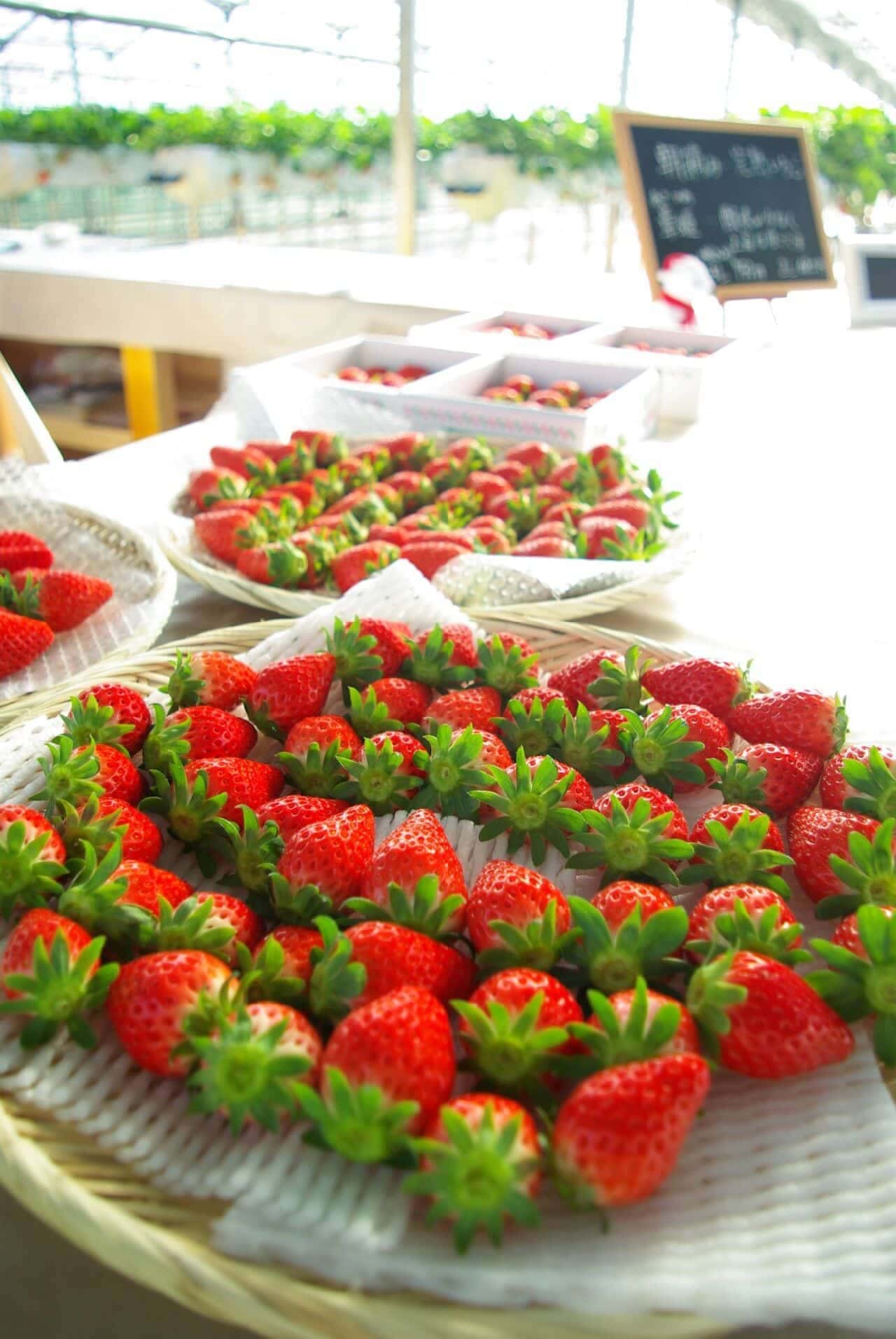Strawberries from Tokorozawa Kitada Farm