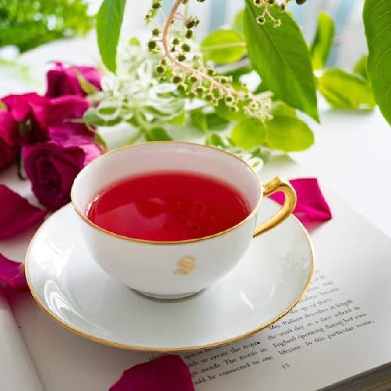 ヴィレヴァンオンライン“赤い緑茶シリーズ”