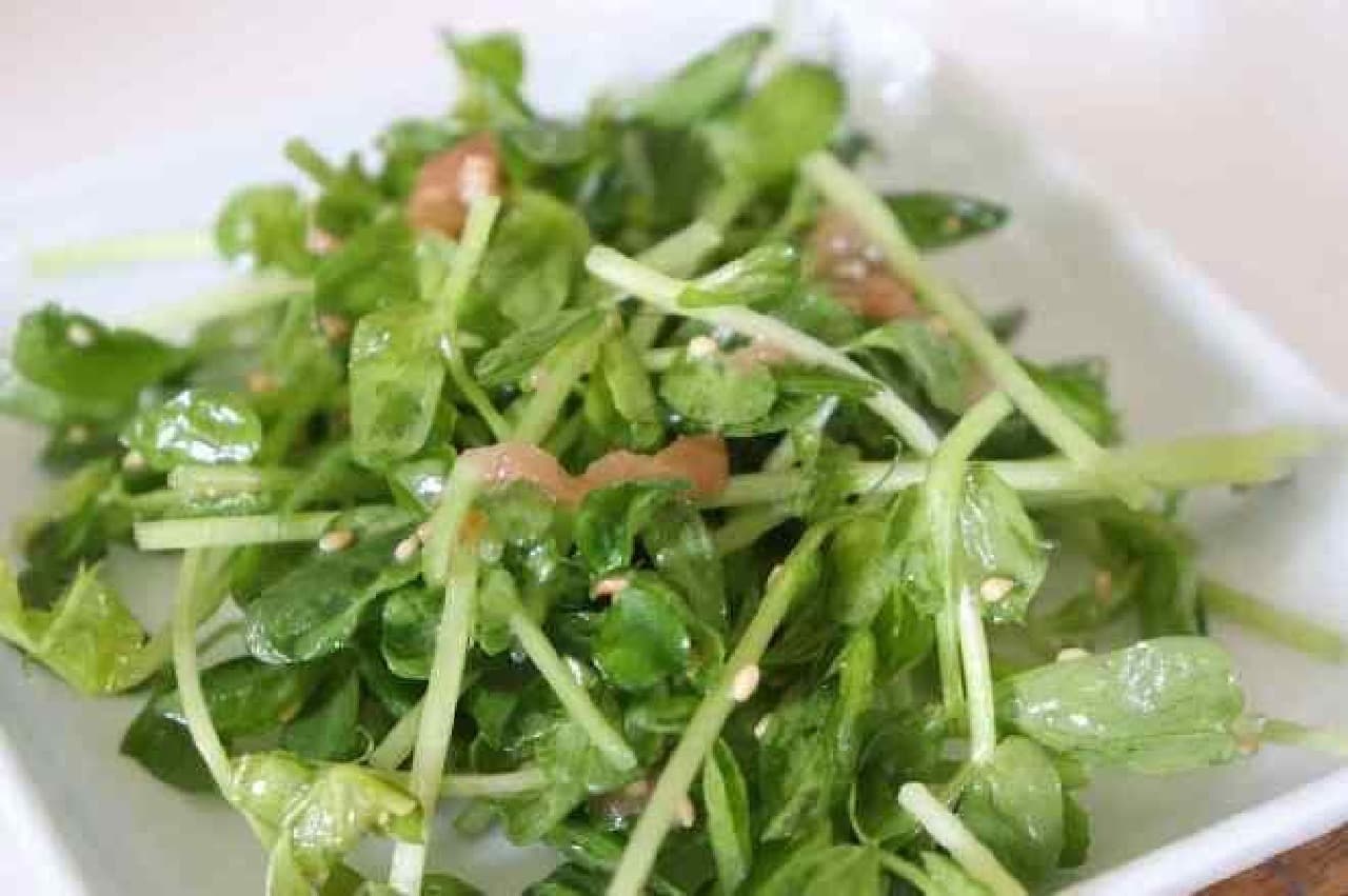 Pea sprout salad recipe "Pea salad of bean sprouts"